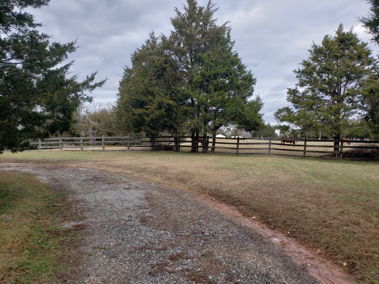 2082 Dogtown Rd - Photo 2 of 9