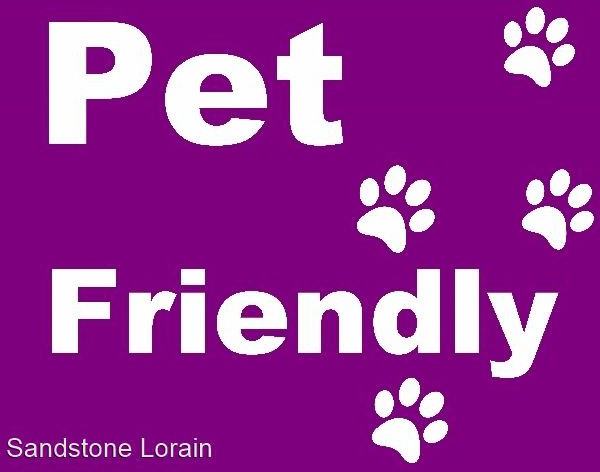 225-227 8th Street - Photo 3 of 17