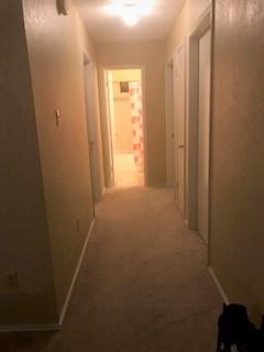 307 Eichelberger Dr - Photo 2 of 5