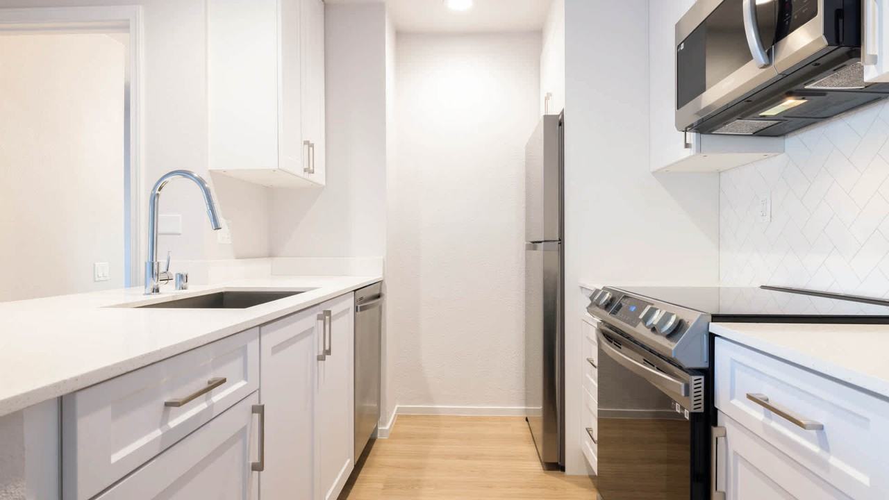 Pearl - Photo 7 of 55