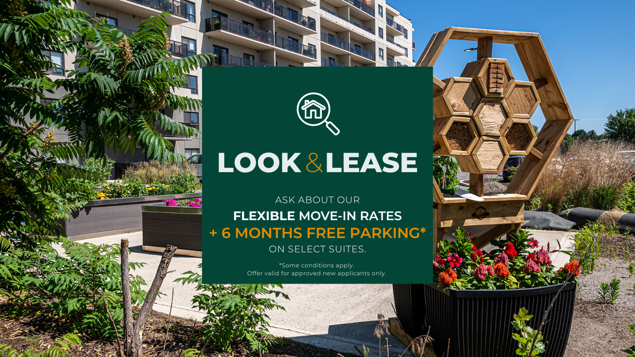 996 Paisley Rd. Apartments 996 Paisley Rd, Guelph, ON N1K 0C4 Zumper