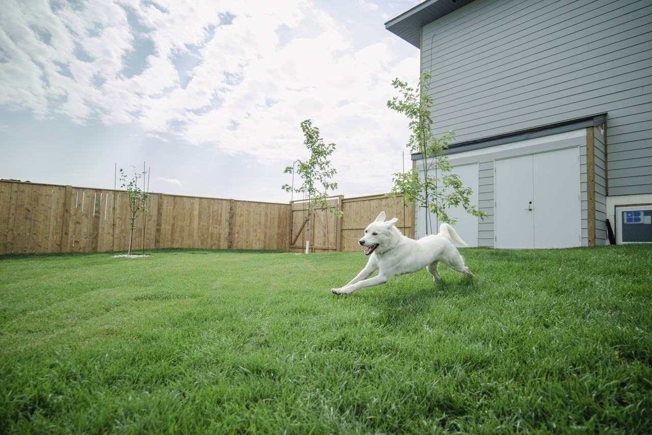 277 Sand Piper Trail N Apartments in Landmark, MB R0A 0X0 Zumper