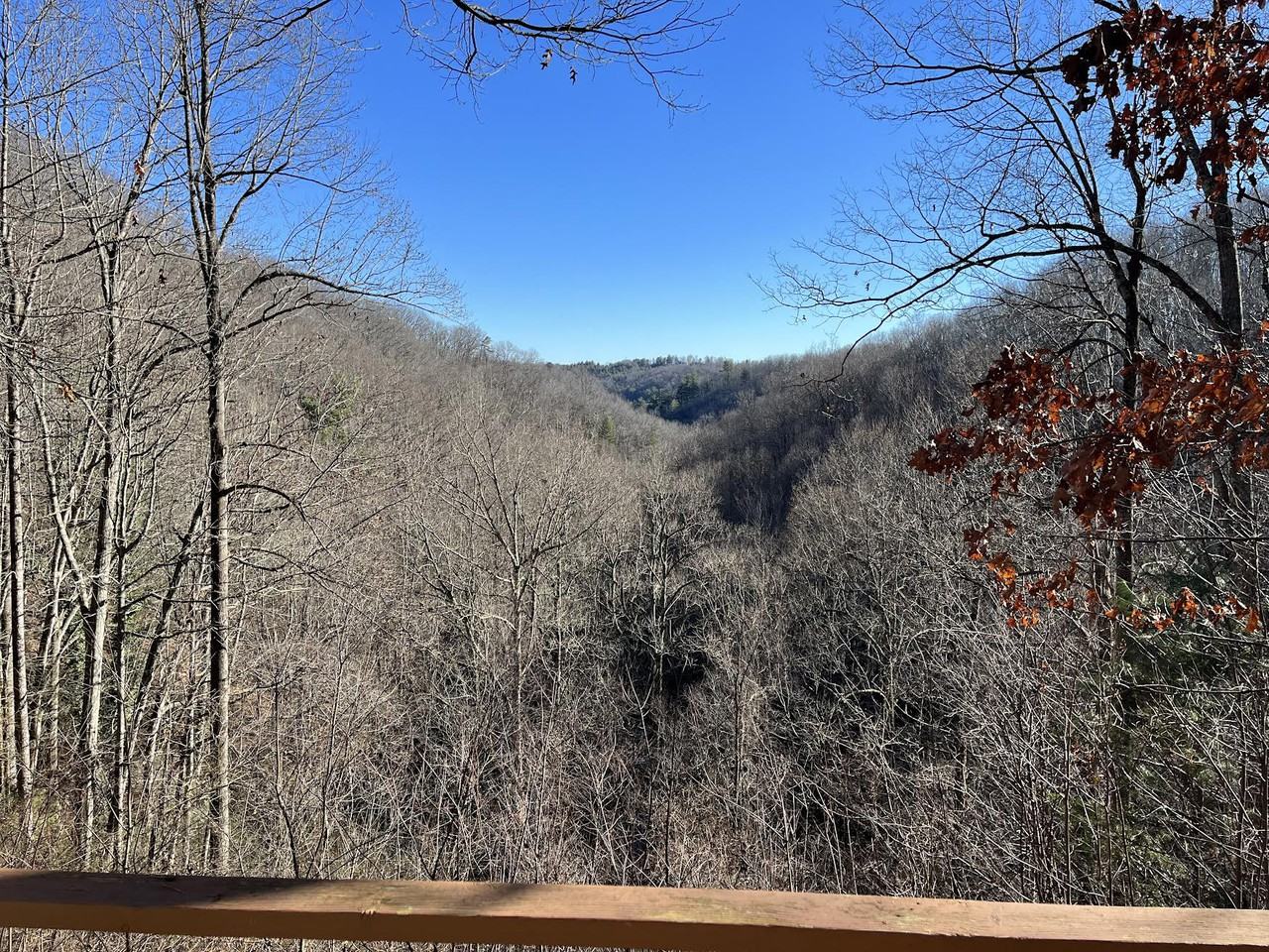 60 Lakemont Cottage Trl - Photo 3 of 19