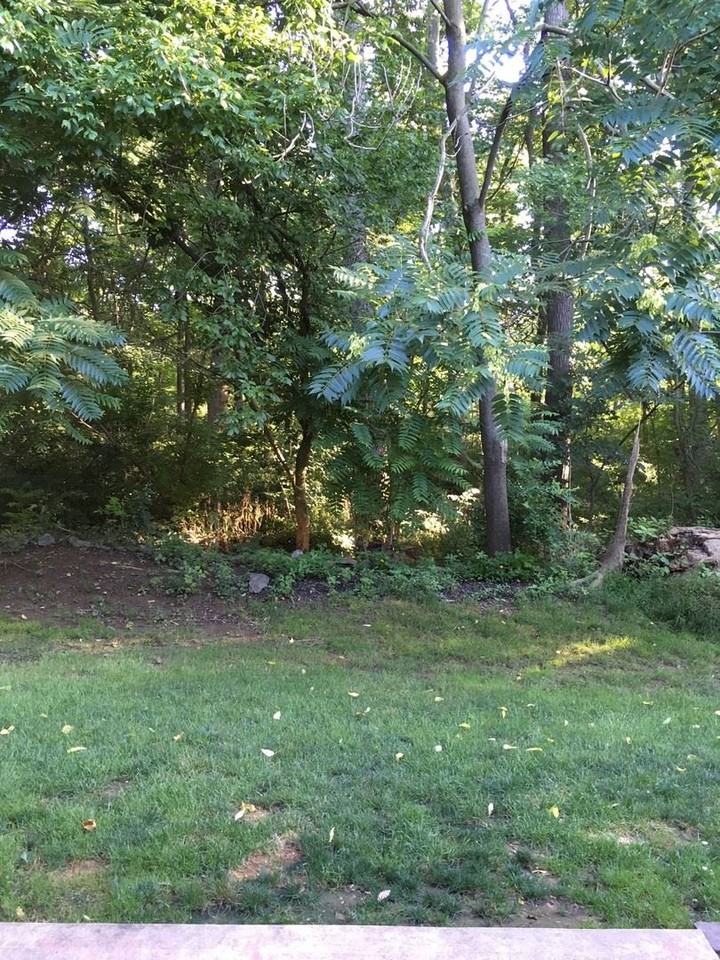 13 Deep Hollow Ln - Photo 2 of 18