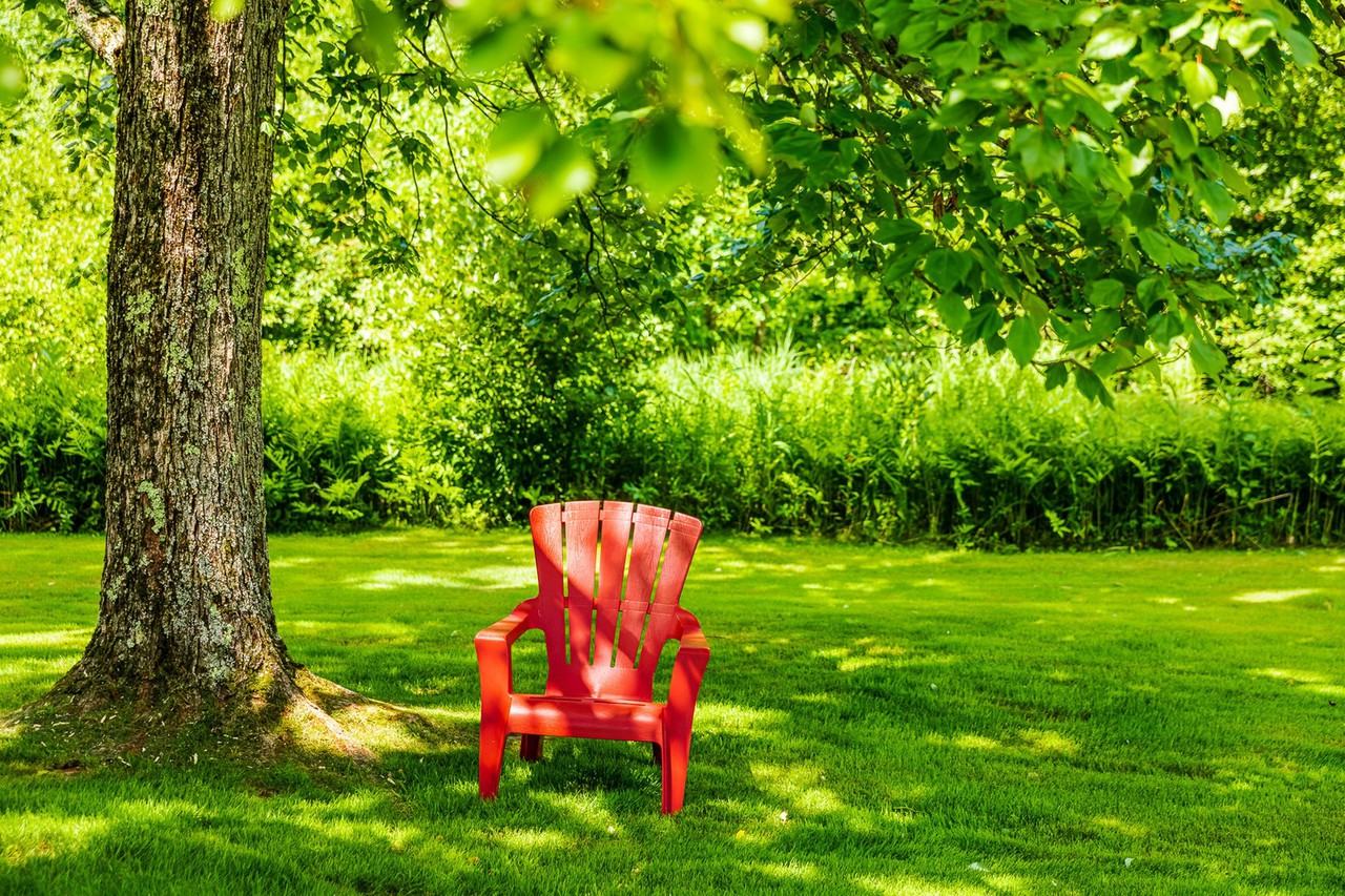 Princeton Westwood - Photo 5 of 25