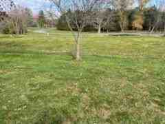 16957 Back Rd - Photo 3 of 5