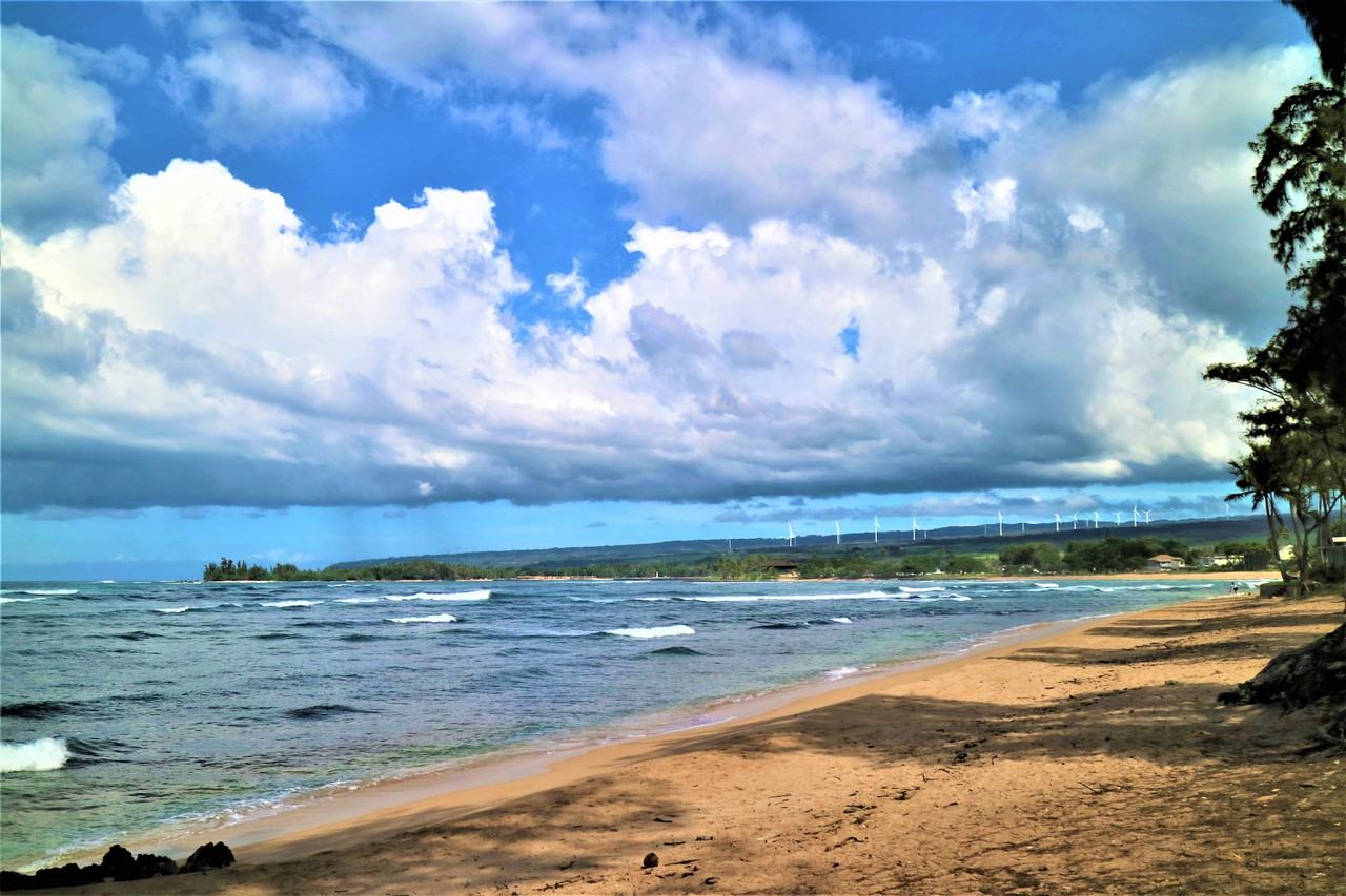 66-480 Haleiwa Rd - Photo 4 of 17