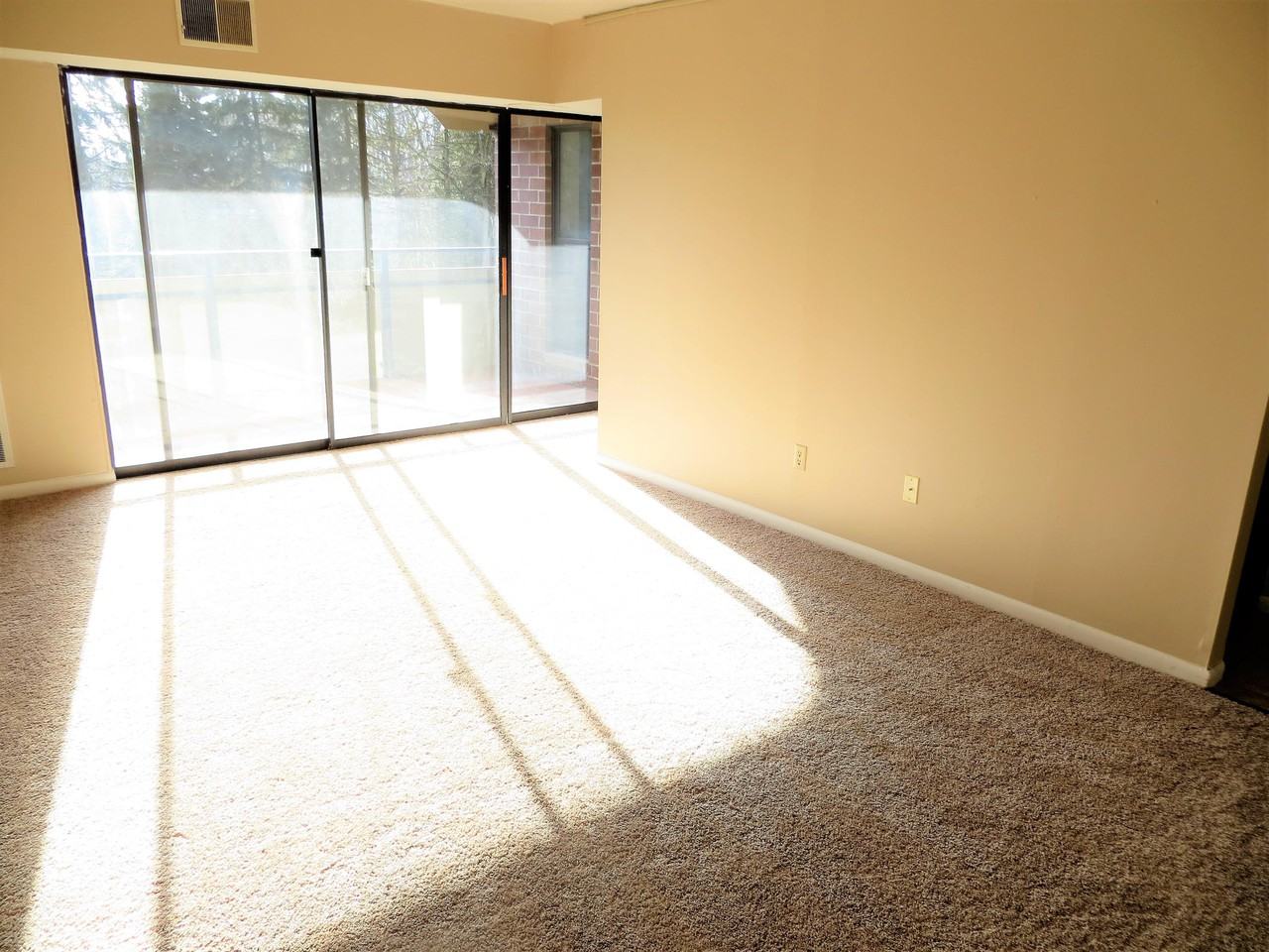 206C Mcknight Cir #C206 - Photo 3 of 17