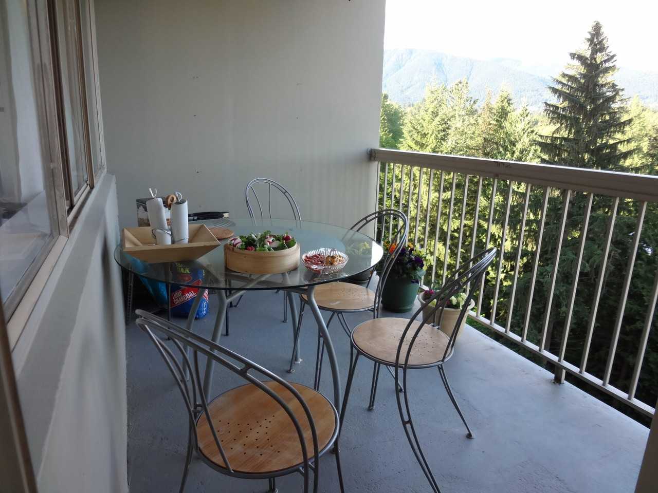 Seymour - Photo 5 of 12