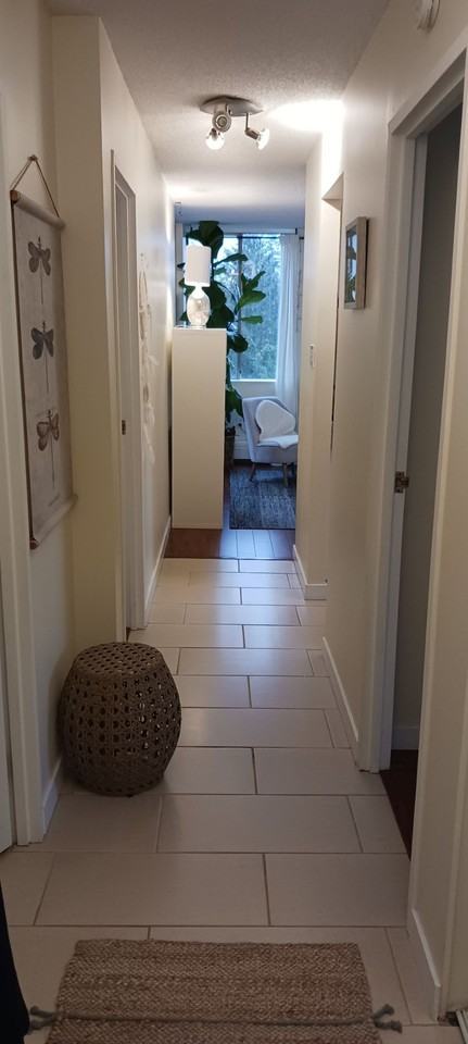 Seymour - Photo 2 of 12