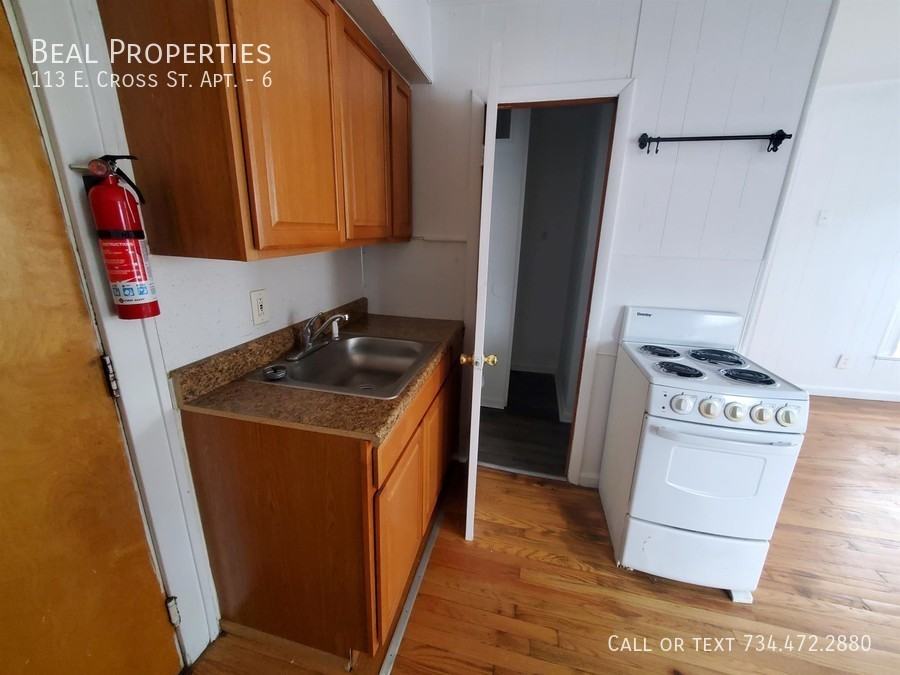 113 East Cross Street #6 - Photo 4 of 13