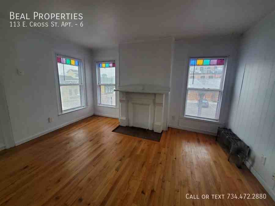 113 East Cross Street #6 - Photo 6 of 13