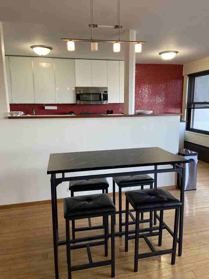 3420 N Lake Shore Dr #12HI