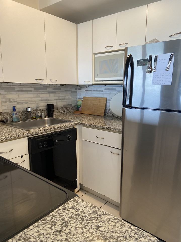 3420 N Lake Shore Dr #11LM