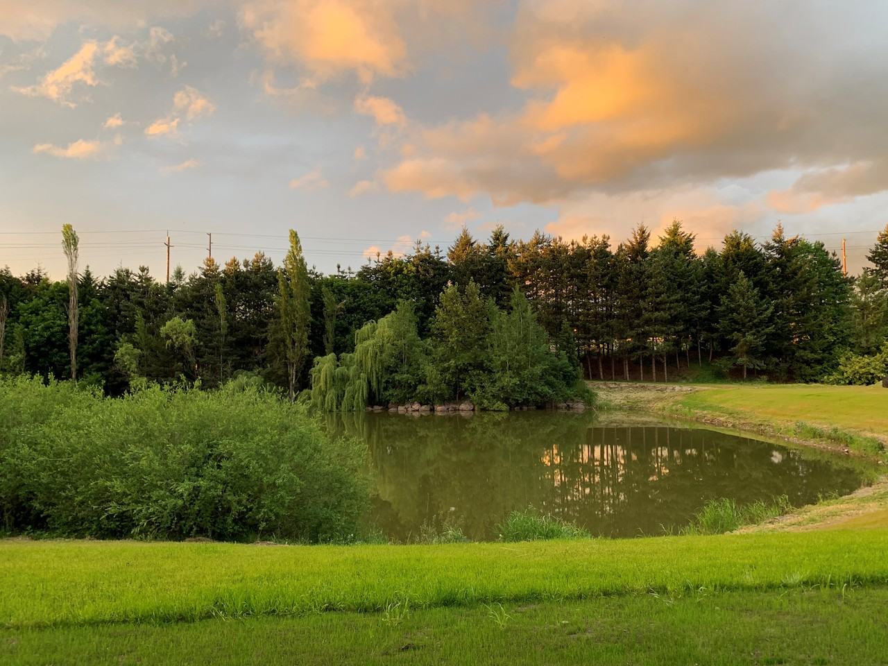 The Lake Apartments - Photo 5 of 8