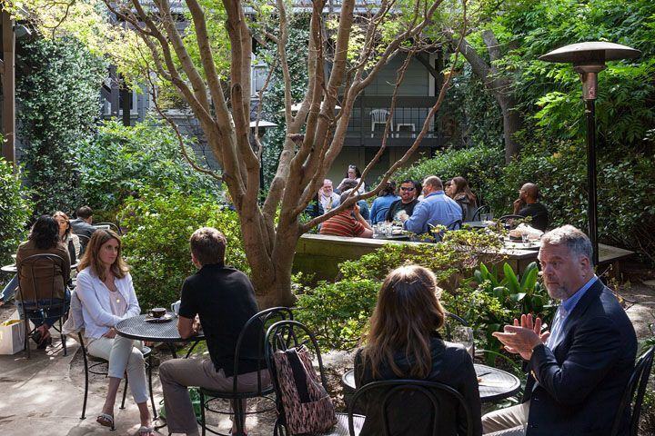 The Civic - Photo 6 of 28