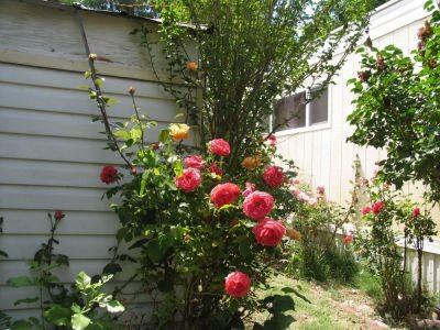 1483 Matlick Ln - Photo 3 of 8