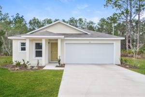 featured image of 20 Slipper Orchid Trl E