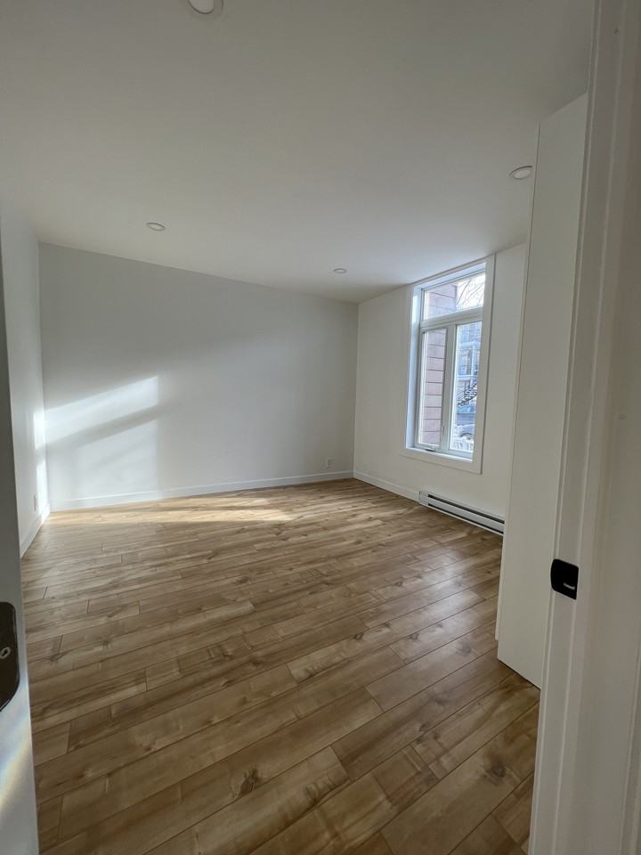 Brand new! Bright and Spacious 3 bedroom in the heart of Verdun