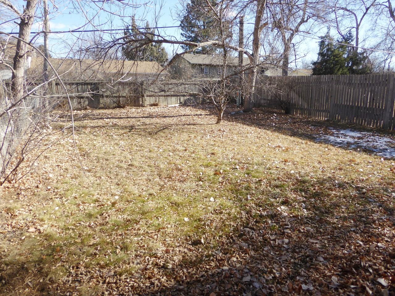 1202 Castlerock Drive - Photo 3 of 12