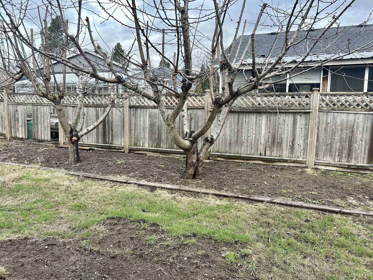 6471 Portal Manor Dr #1 - Photo 4 of 25