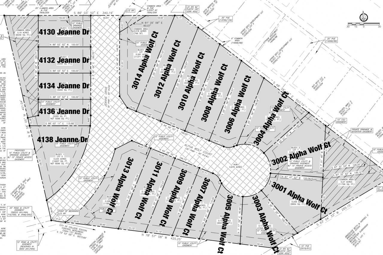 3006 Alpha Wolf Court #1 - Photo 3 of 5