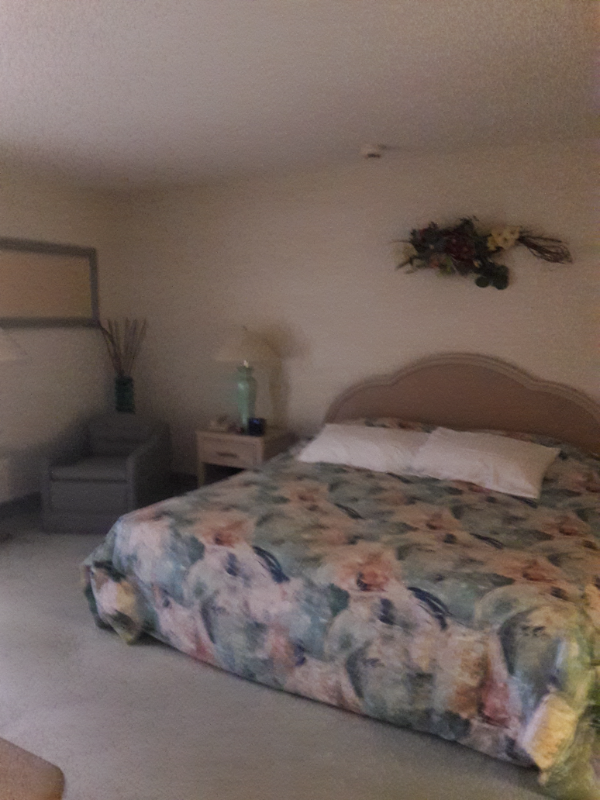 33823 Lucy Dr - Photo 2 of 4