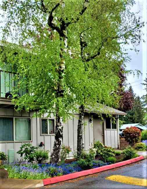 Garden Court Apartments - Photo 3 of 3