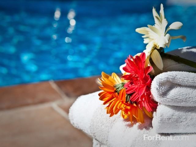 Solaira at Pavilion Park Apartments 55 and Better - Photo 3 of 5