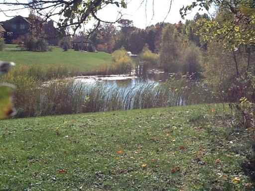 334 N State Rd 421 - Photo 3 of 21