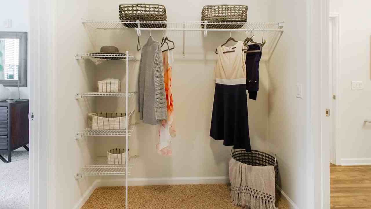 Modera 55 - Photo 6 of 49