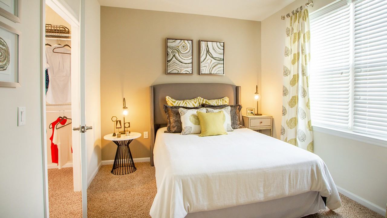 Modera 55 - Photo 7 of 49