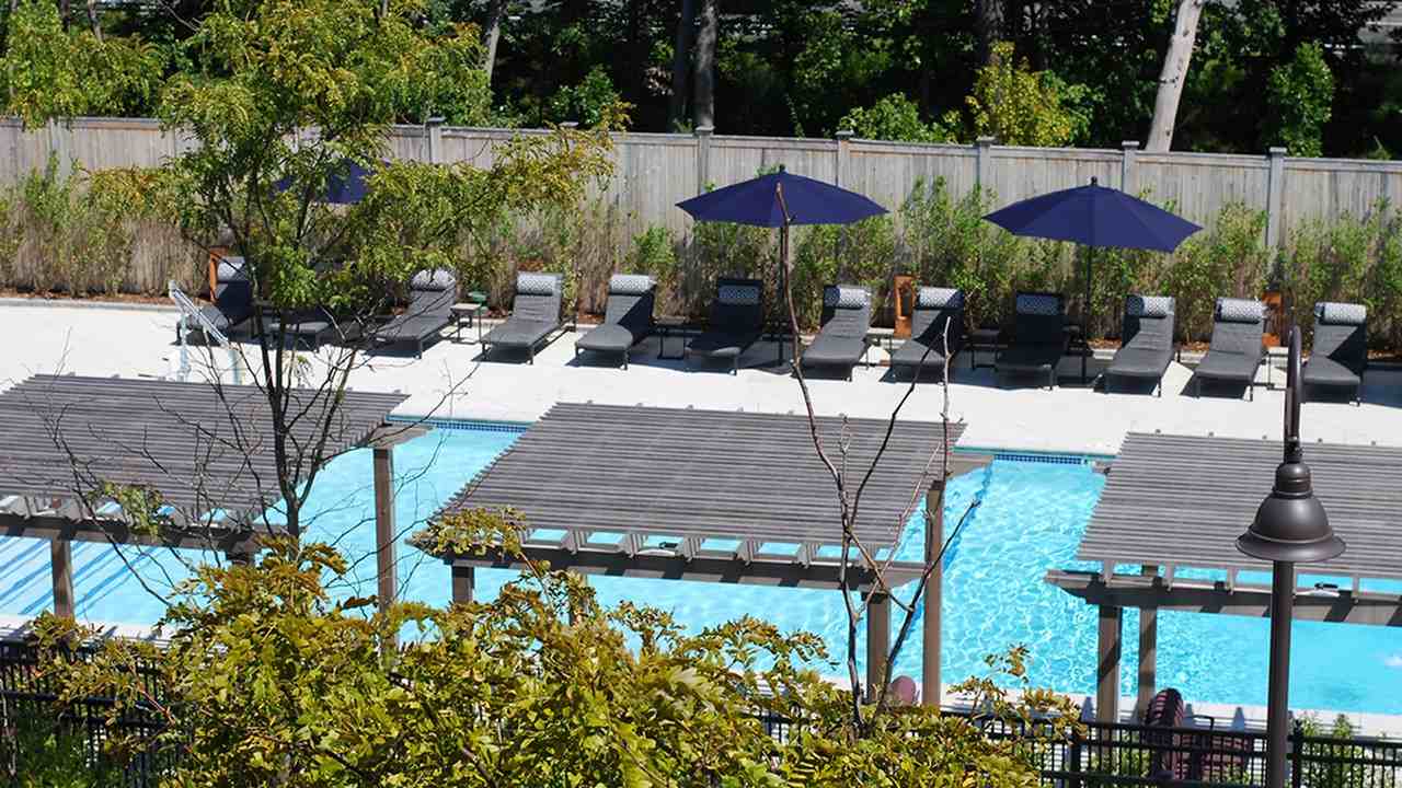 Modera Needham - Photo 4 of 31