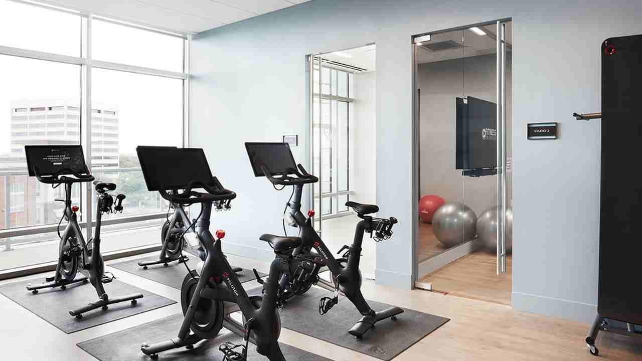 Ardan - Photo 7 of 50