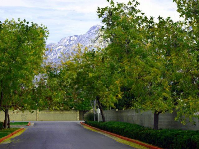 Arcadia Green Apartments - Photo 3 of 23