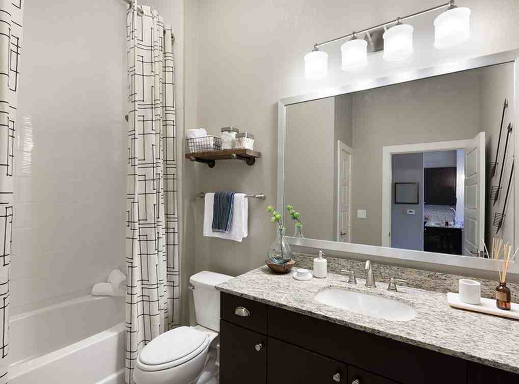 AMLI Frisco Crossing - Photo 6 of 48