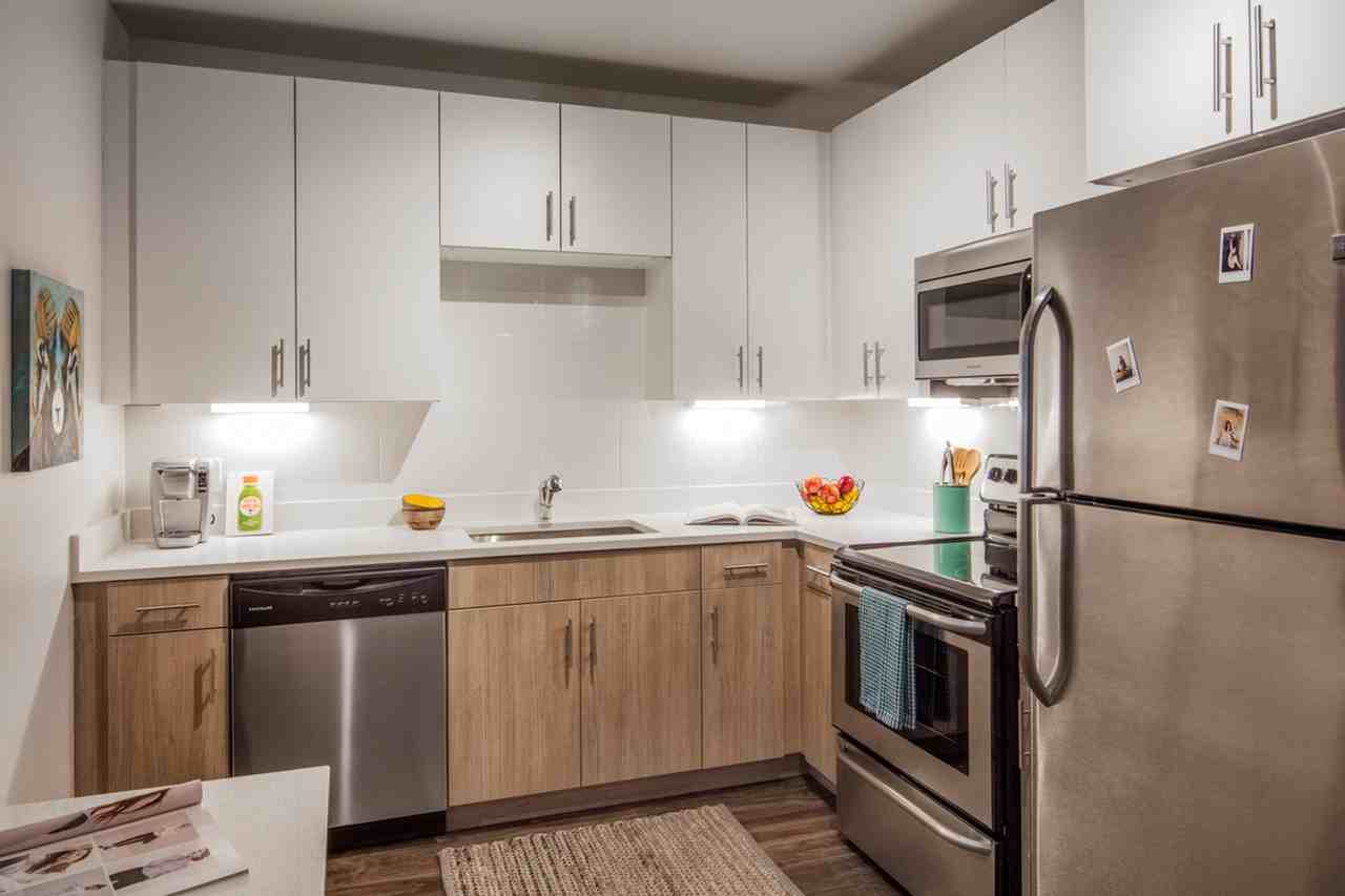 Luxury Housing - Uncommon Fort Collins - Photo 3 of 49