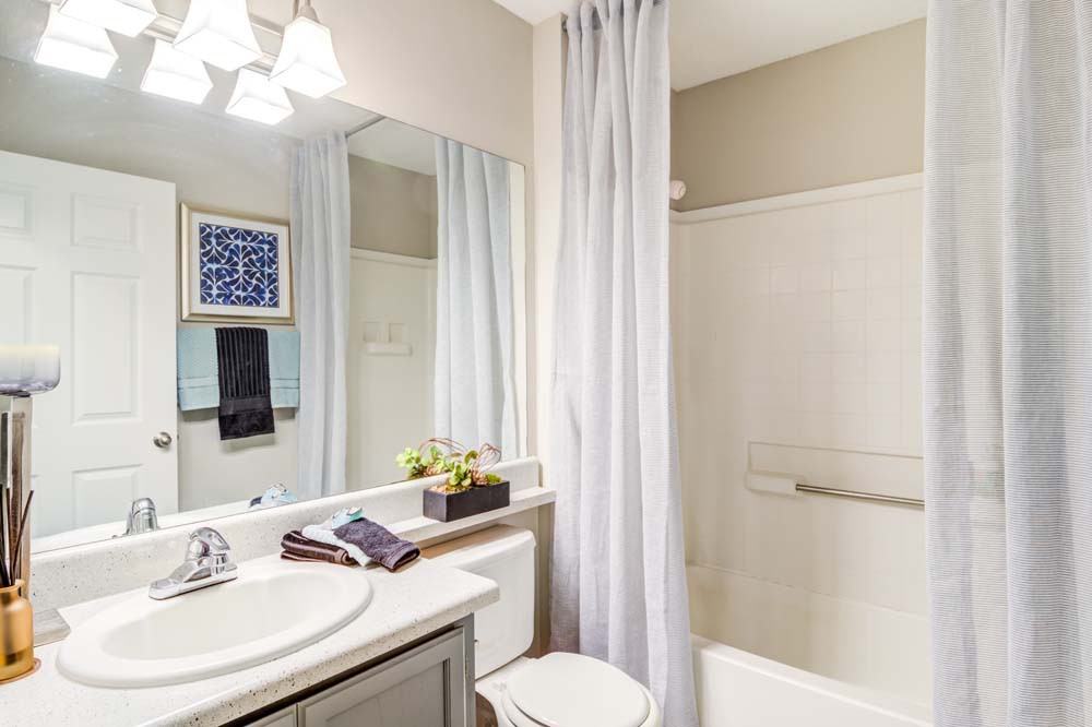 Azalea Springs - Photo 7 of 16