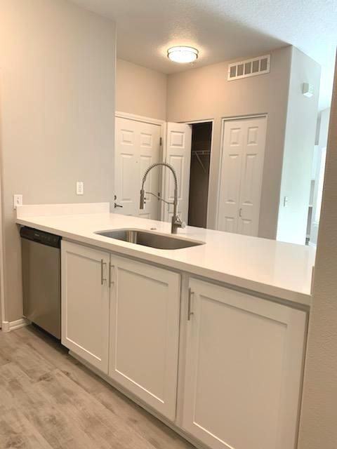 Laguna Creek - Photo 2 of 25