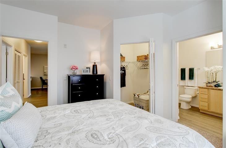 The Meadows - Photo 3 of 21