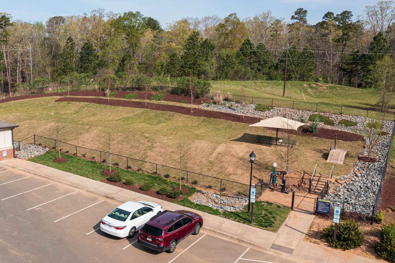 The Apartments at Palladian Place - Photo 7 of 37