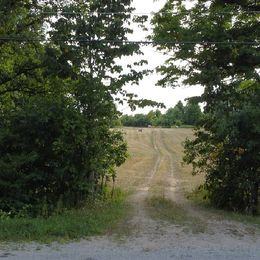 10287 Guelph Line - Photo 2 of 12