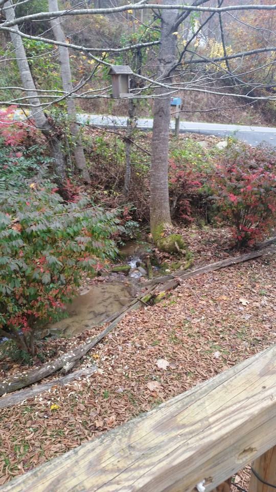 2439 Barkers Creek Rd #1 - Photo 3 of 17