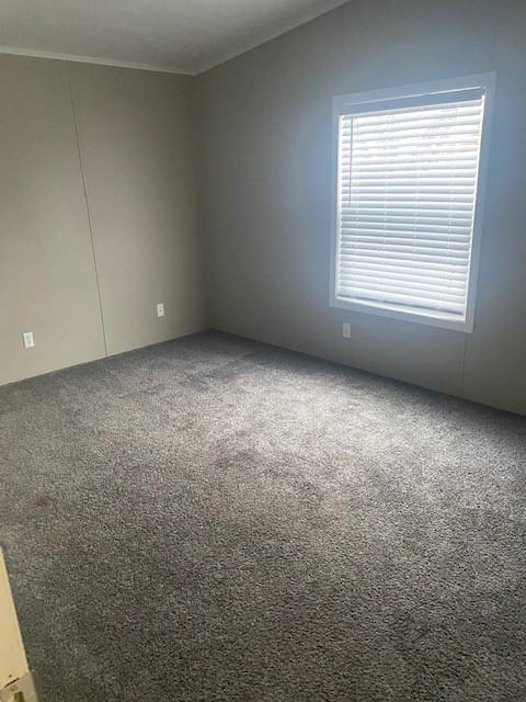 Cloverleaf - Photo 5 of 6