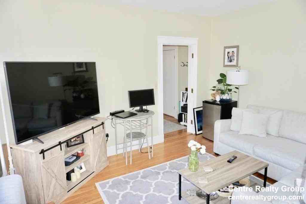 373 Chestnut Hill Ave #34 - Photo 5 of 15