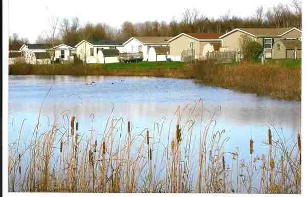 Brandymore Pines - Photo 3 of 16