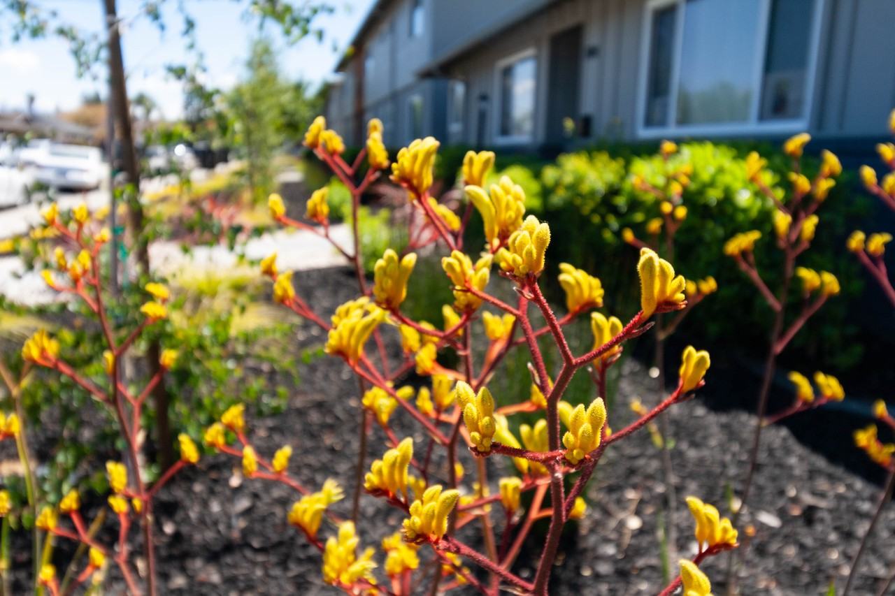 Royal Drive - Photo 4 of 21