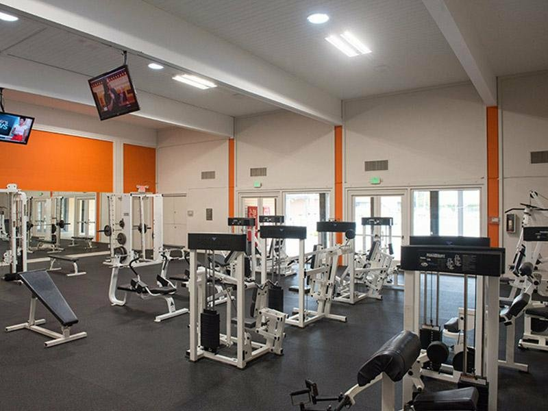 The Eleven Hundred Apartments - Photo 4 of 19