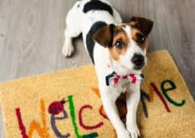 featured image of 4086 B Street