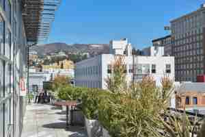 featured image of 1617 Cosmo St